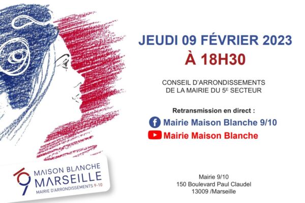 conseil d'arondissement